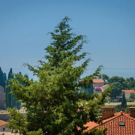 Comfortable Bukvic Appartement *