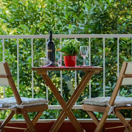 Comfortable Bukvic *